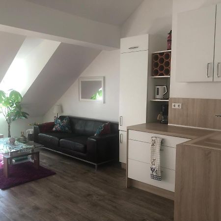 Old Bridge View Apartment ไฮเดลเบิร์ก ภายนอก รูปภาพ