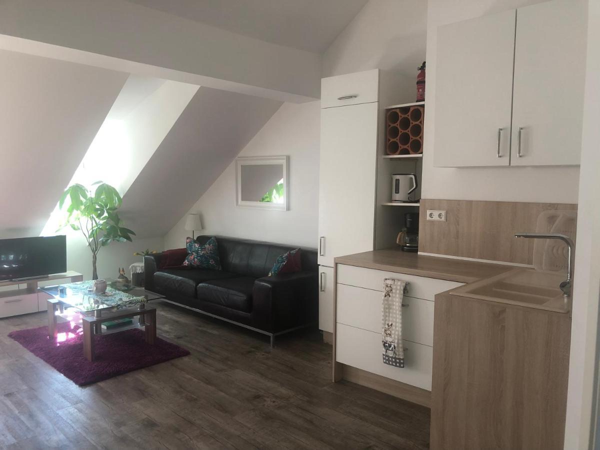 Old Bridge View Apartment ไฮเดลเบิร์ก ภายนอก รูปภาพ