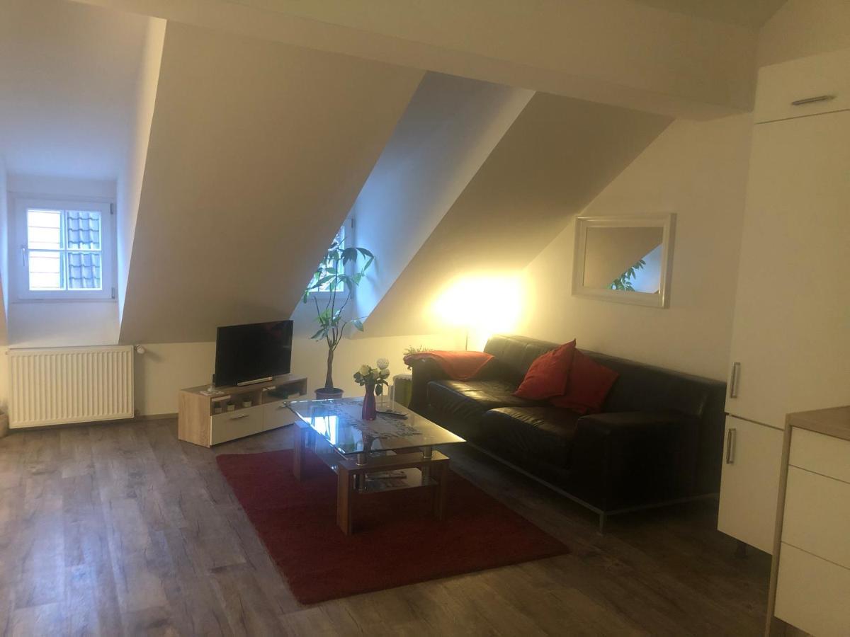 Old Bridge View Apartment ไฮเดลเบิร์ก ภายนอก รูปภาพ